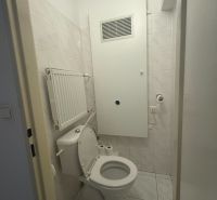 Podkrovný útulný 1 izb. byt, Lehotského 1, Staré Mesto - Kúpeľňa v 1-izbovom byte s toaletou, svetlými obkladačkami a radiátorom.