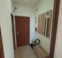 DOBRÉ REALITY-pekná garsónka na prenájom, sídl. Kopanice, Prievidza - Vstupná chodba v garsónke so skriňou a dreveným dekorom na podlahe.