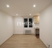 Na predaj garsónka na Sokolovskej ulici v meste Humenné - Obývacia izba v Rekreačnom apartmáne s podlahou s dreveným dekorom a jednoduchou kuchynkou.