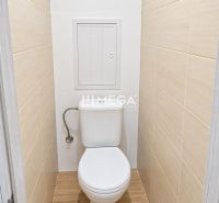 NA PREDAJ 2-izbový zrekonštuovaný byt s balkónom  v Humennom - Kúpeľňa v 2-izbovom byte s dlaždicami a podlahou s dreveným dekorom.