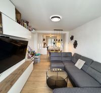 Predaj 3 izbový byt s balkónom - Humenné, Ševčenkova - Obývacia izba v 3-izbovom byte s podlahou s dreveným dekorom a sivou sedačkou.