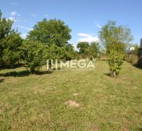 Rezervované - Na predaj rodinný dom v obci Hažín nad Cirochou, exkluzí - Zeleň a dreviny v rodinnom dome na ulici Hažín nad Cirochou v Hažíne nad Cirochou.