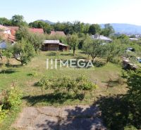Rezervované - na predaj dom na vynikajúcom pozemku priamo v meste Hume - Záhrada pri rodinnom dome na Sídlisku Poľana v Humennom s trávnikom a ovocnými stromami.
