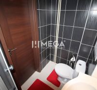 Na prenájom plne zariadená garsónka blízko centra - Humenné - Kúpeľňa v Rekreačnom apartmáne so sprchovým kútom, toaletou a čiernymi obkladmi.