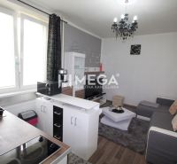 Na prenájom plne zariadená garsónka blízko centra - Humenné - Obývacia izba s kuchyňou v Rekreačnom apartmáne, podlaha s dreveným dekorom, sivá pohovka.