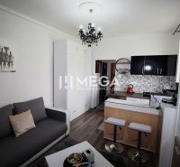 Na prenájom plne zariadená garsónka blízko centra - Humenné - Kuchyňa Rekreačného apartmánu s pultom, podlahou s dreveným dekorom a šedou sedačkou.