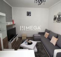 Na prenájom plne zariadená garsónka blízko centra - Humenné - Obývacia izba Rekreačného apartmánu so sivou sedačkou, TV a podlahou s dreveným dekorom.