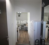 Na prenájom plne zariadená garsónka blízko centra - Humenné - Rekreačný apartmán s podlahou s dreveným dekorom, kuchynský kút a obývací priestor.