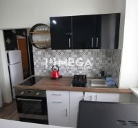 Na prenájom plne zariadená garsónka blízko centra - Humenné - Kuchyňa v Rekreačnom apartmáne s podlahou s dreveným dekorom a geometrickými obkladmi na stene.