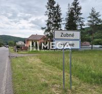 NOVÁ CENA-PREDAJ POZEMKOV (3.053 m2) v obci ZUBNÉ - Krajina v Zubnom s cestou a zelenými pozemkami na bývanie.