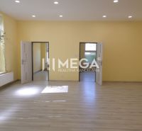 PREDAJ POLYFUNKČNÉHO OBJEKTU na ul. Fraňa Kráľa MICHALOVCE - Obchodné priestory s podlahou s dreveným dekorom, žltými stenami a veľkými oknami.