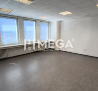 NA PRENÁJOM KANCELÁRIA IDEÁLNA NA SLUŽBY 35m² - HUMENNÉ - Priestranné kancelárie s viacerými oknami a podlahou s dreveným dekorom.