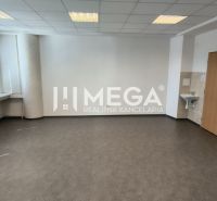 NA PRENÁJOM KANCELÁRIA IDEÁLNA NA SLUŽBY 35m² - HUMENNÉ - Priestranná kancelária s podlahou s dreveným dekorom, umývadlom a veľkými oknami.