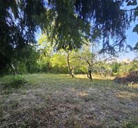 Na predaj útulná záhrada v Košiciach, MČ Krásna, Šípková ul. - Záhrada na Šípkovej ulici v Košiciach, mestskej časti Krásna, s hustou zeleňou a stromami.