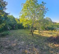 Na predaj útulná záhrada v Košiciach, MČ Krásna, Šípková ul. - Záhrada v Košiciach - mestskej časti Krásna na Šípkovej ulici s ovocnými stromami.