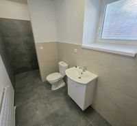 PRENÁJOM Bánovce nad Bebravou/2 IZBOVÝ BYT/CENTRUM-STRED/70m2 - Kúpeľňa v 2-izbovom byte s toaletou, umývadlom a sprchovým kútom bez zásteny.