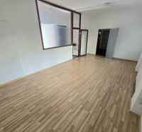 PRENÁJOM Bánovce nad Bebravou/2 IZBOVÝ BYT/CENTRUM-STRED/70m2 - Svetlá miestnosť s podlahou s dreveným dekorom v 2-izbovom byte.