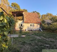 Záhrada s murovanou chatkou po rekonštrukcii iba 200 m od rieky Nitra - Chata v Nových Zámkoch s terasou, obklopená prírodou a viničom na pozadí lesa.