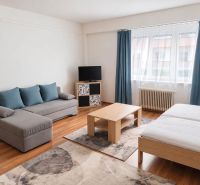 Prenájom 1-izbového zariadeného bytu, 43 m² – Šancová - 1-izbový byt s pohovkou, posteľou, televízorom, stolíkom a podlahou s dreveným dekorom.