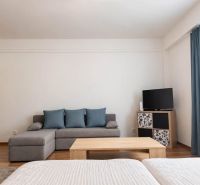 Prenájom 1-izbového zariadeného bytu, 43 m² – Šancová - Štýlový obývací priestor v 1-izbovom byte s pohovkou a TV, podlaha s dreveným dekorom.