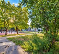 3-izbový byt v centre Pezinka, balkón, výťah, pivnica, komora - Park so zeleňou a chodníkom vedľa športového ihriska na ulici Za hradbami v Pezinku.