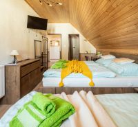 Penzión pri Bešeňovej – podnikateľská príležitosť v srdci Liptova - Izba v Hotely a penzióny s podlahou s dreveným dekorom a pohodlnými posteľami.