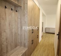 NA PRENÁJOM -  Zariadený 2 izbový byt s balkónom, Dobrianského, Humenn - Chodba so vstavanou skriňou a podlahou s dreveným dekorom v 2-izbovom byte.
