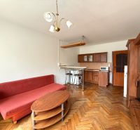 EXLUZÍVNE NA PREDAJ - Garsónka Nitra, okr. Nitra - Obývacia časť garsónky s pohovkou a kuchynským kútom, podlaha s dreveným dekorom.