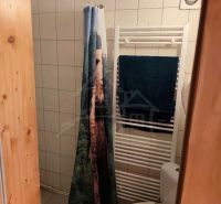 Zariadená chata s krbom pri lese v Rajeckej Lesnej - Kúpeľňa v chate s kachličkovou stenou, závesom a vykurovacím telesom.