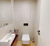 Eurovea Tower – terasa, garážové státie, klimatizácia, Downtown - Kúpeľňa v 2-izbovom byte s umývadlom a podlahou s dreveným dekorom.