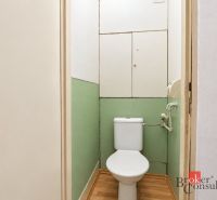 Svetlý a teplý 2-izbový byt s balkónom v centre Spišskej Novej Vsi (52 - Toaleta v 2-izbovom byte s podlahou s dreveným dekorom a zelenými stenami.