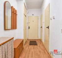 Svetlý a teplý 2-izbový byt s balkónom v centre Spišskej Novej Vsi (52 - Chodba v 2-izbovom byte s podlahou s dreveným dekorom, zrkadlom a vešiakovou stenou.