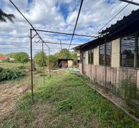 PREDAJ - Rodinný dom v obci Kamenica nad Hronom – len 5 km od Štúrova - Záhrada pri rodinnom dome v Kamenici nad Hronom so zeleným pozemkom a jednoduchou konštrukciou.