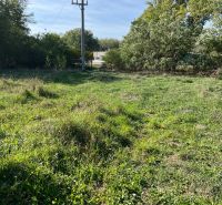 Predaj rekreačného pozemku (záhrady) pri lese v blízkosti obce Kopčany - Elektrický stĺp uprostred zelenej záhrady v Kopčanoch, obklopený bujnou vegetáciou.