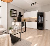 Moderný 2-izbový apartmán, balkón, sklad, Šancová-novostavba PREMIÈRE - Štýlový 2-izbový byt s podlahou s dreveným dekorom a modernou kuchyňou.