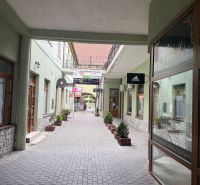 Obchodný priestor - TOP PONUKA V CENTRE - Pasáž s obchodnými priestormi v Topoľčanoch so stromčekmi a ceduľkami na budovách.
