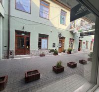 Obchodný priestor - TOP PONUKA V CENTRE - Obchodné priestory v Topoľčanoch s kamenným obkladom a kvetináčmi na vydláždenej ulici.