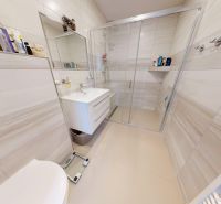 Na predaj 3-izbový rodinný dom v Holíči - Kúpeľňa v rodinnom dome s preskleným sprchovacím kútom a moderným umývadlom na skrinke.