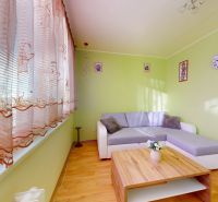 3.izbový byt so záhradou /420 m²/ a chatkou BOŠANY - Obývacia izba s podlahou s dreveným dekorom a zelenými stenami v 3-izbovom byte.