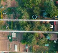3.izbový byt so záhradou /420 m²/ a chatkou BOŠANY - Záhrada na ulici Janka Kráľa v Bošanoch, obklopená stromami a drobnými stavbami.