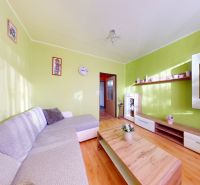 3.izbový byt so záhradou /420 m²/ a chatkou BOŠANY - Obývačka v 3-izbovom byte s podlahou s dreveným dekorom a svetlozelenými stenami.