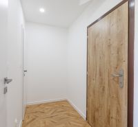 Pozrite si NOVÝ 2 i BYT po ČERSTVEJ REKONŠTRUKCII, KLIMATIZÁCIA - Vstupná chodba 2-izbového bytu s podlahou s dreveným dekorom a drevenými dverami.