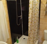 Na predaj Chata Horná Breznica, pozemok 5084 m2, POLOSAMOTA - Sprchovací kút na chate s kvetinovým závesom a podlahou s dreveným dekorom.