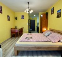 NA PREDAJ apartmán v Podhájskej  - Rekreačný apartmán má manželskú posteľ, jedálenský kút a podlahu s dreveným dekorom.