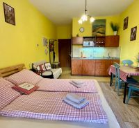 NA PREDAJ investičný apartmán v Podhájskej - Žlté steny, kuchynská linka, jedálenský stôl, posteľ a podlaha s dreveným dekorom v Rekreačnom apartmáne.