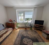 Na predaj 2- izbový byt s malou záhradkou v Medzilaborciach - 51 m2. - Izba v 2-izbovom byte s kobercami, kvetmi a podlahou s dreveným dekorom.