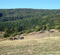 3106m2 stavebný pozemok nad priehradou v Krupine - Hory s pastvinou a koňmi v Záhradách pri Krupine pod bezoblačnou oblohou.