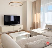 Luxusný 1 izbový byt s parkovacím miestom za luxusnú cenu - Svetlá obývacia izba s pohovkou, televízorom a podlahou s dreveným dekorom v 1-izbovom byte.