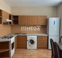NA PRENÁJOM - 1,5 izb. byt v centre mesta Humenné - Kuchyňa v 1-izbovom byte s dreveným dekorom podlahy a spotrebičmi.
