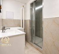 **Hotový priestor. Povolené ubytovanie. Pripravené zarábať**Airbnb** - Kúpeľňa so sprchovacím kútom a umývadlom v 5 a viac izbovom byte.